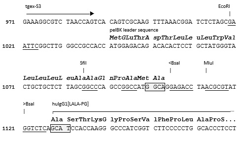 TGEX-HC-hG1[LALA-PG]-Zeo cloning site